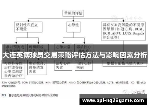大连英博球员交易策略评估方法与影响因素分析