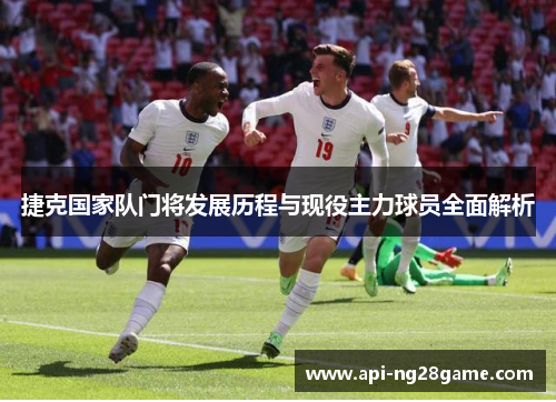 捷克国家队门将发展历程与现役主力球员全面解析