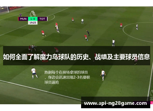 如何全面了解魔力鸟球队的历史、战绩及主要球员信息