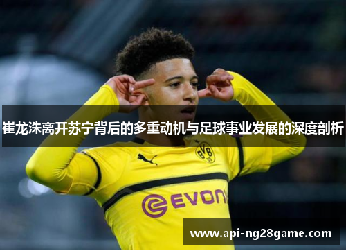 崔龙洙离开苏宁背后的多重动机与足球事业发展的深度剖析