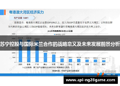 苏宁控股与国际米兰合作的战略意义及未来发展前景分析
