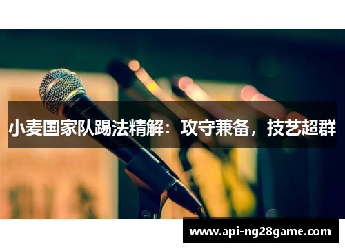 小麦国家队踢法精解：攻守兼备，技艺超群